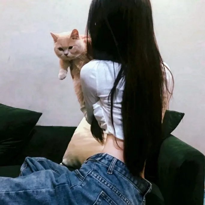 人咬狗 在线观看